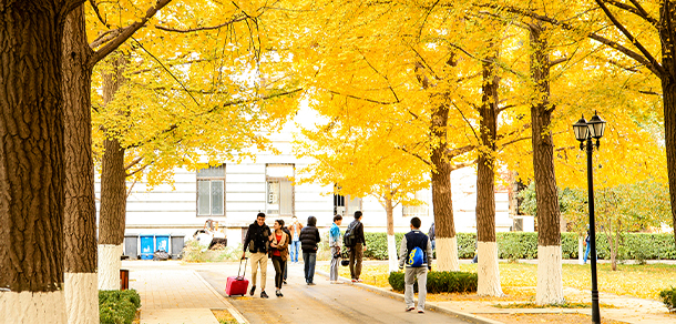 北京科技大學(xué) - 最美大學(xué)