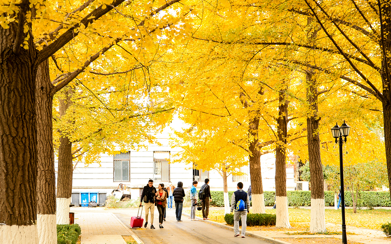 北京科技大學(xué)