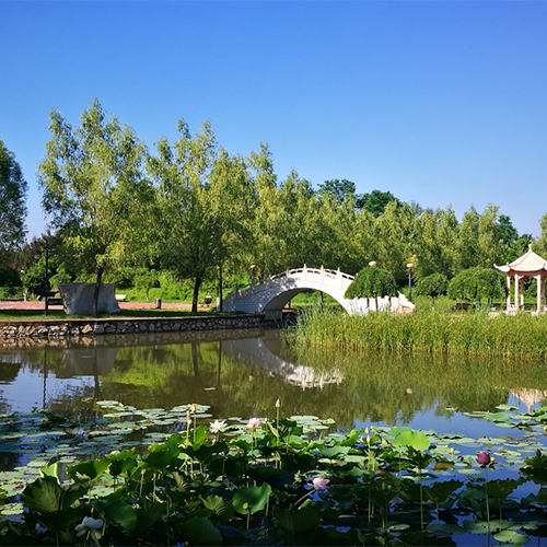 北京經(jīng)濟(jì)技術(shù)職業(yè)學(xué)院-流金歲月