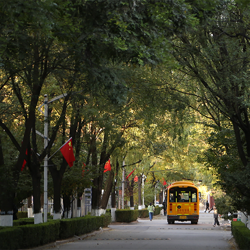 最美大學