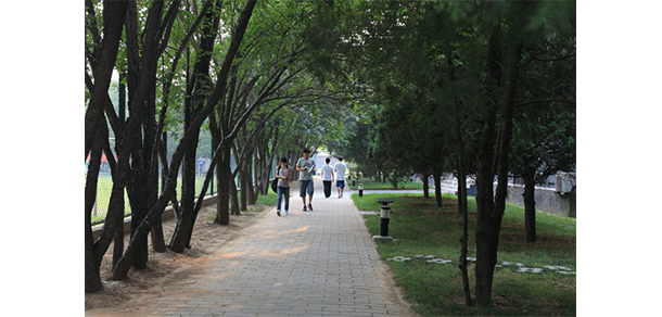 北京青年政治學院 - 最美大學