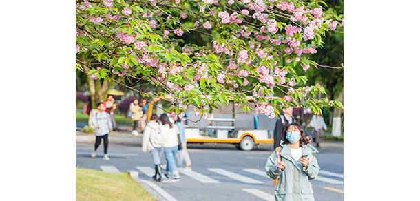 西南政法大學(xué)