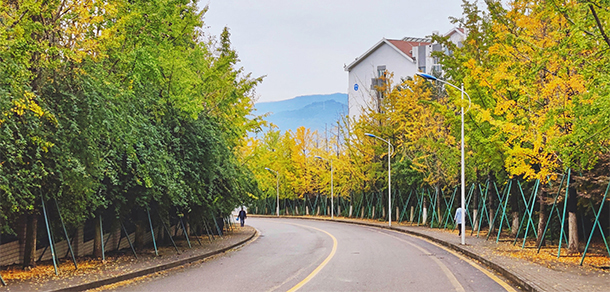 重慶三峽學(xué)院 - 最美大學(xué)