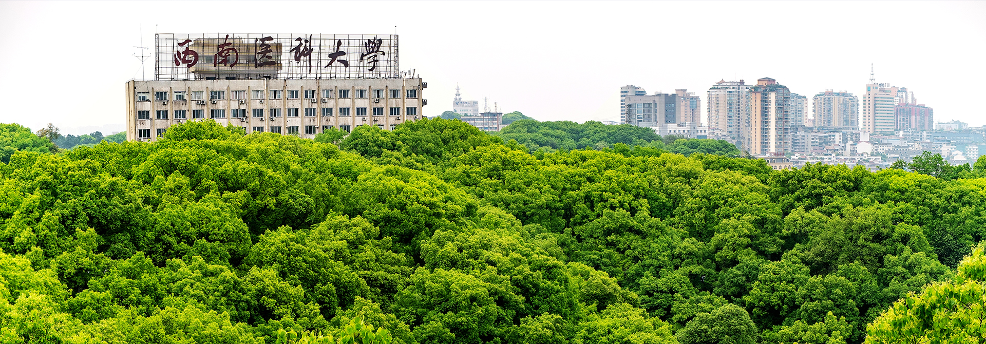 西南醫(yī)科大學(xué) - 院校概況