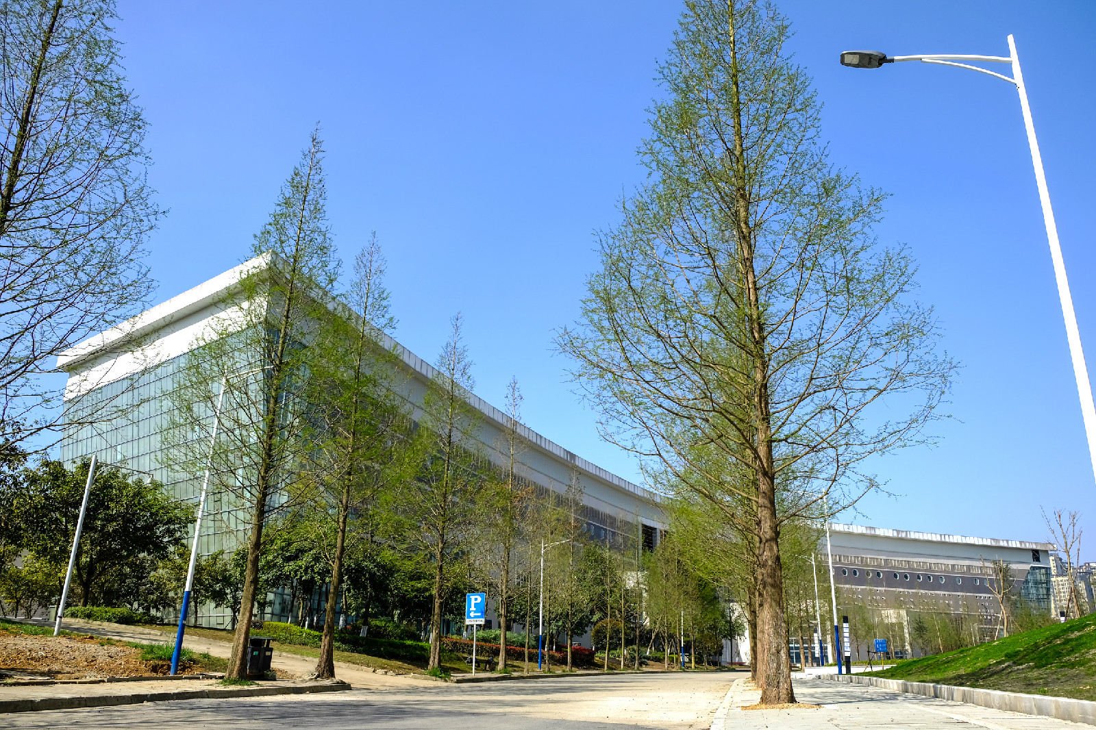 四川師范大學(xué)-校園風(fēng)景