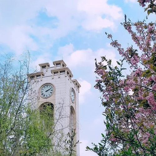 西南財(cái)經(jīng)大學(xué) - 棠梨落雨 · 陌上花開