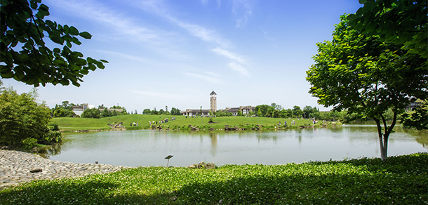 成都東軟學(xué)院 - 最美大學(xué)