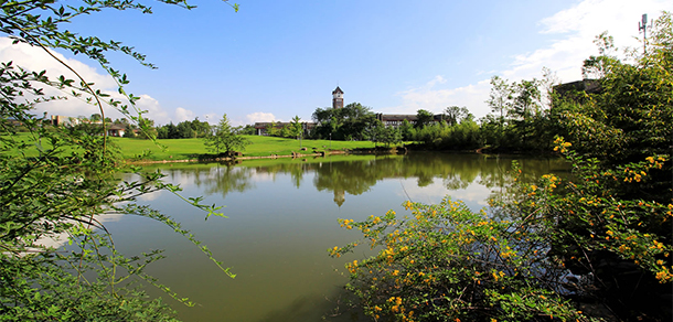 成都東軟學(xué)院 - 最美大學(xué)