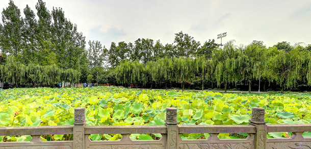 四川傳媒學院 - 最美大學