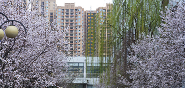 成都師范學院 - 最美大學