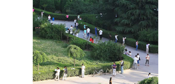 寶雞文理學院 - 最美大學