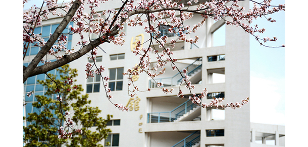 商洛學院 - 最美大學