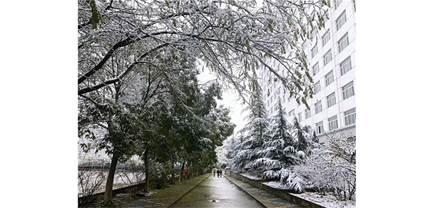 蘭州博文科技學(xué)院 - 最美大學(xué)