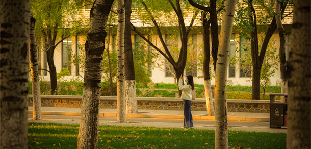 南開大學 - 最美大學