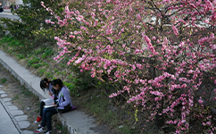 歷史沿革（概）校史