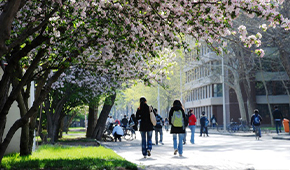 天津大學-校園風光