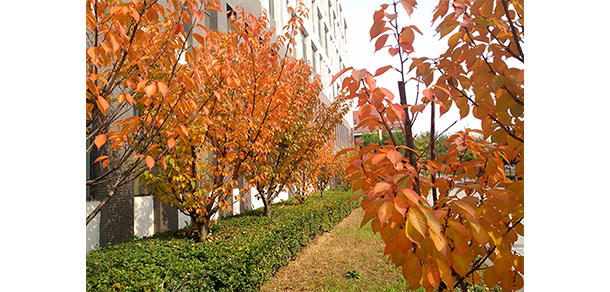 山西建筑職業(yè)技術學院 - 最美大學