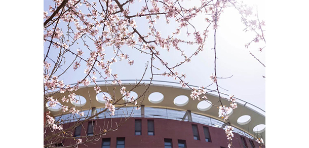 大連科技學院 - 最美大學