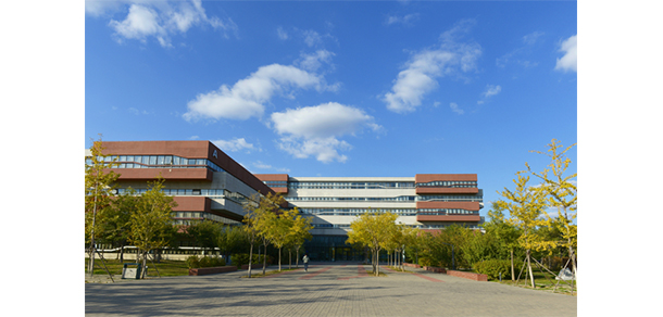 東北大學(xué) - 最美大學(xué)