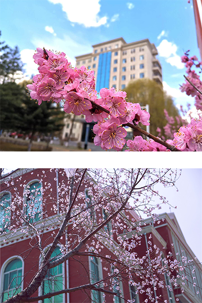 長春光華學(xué)院