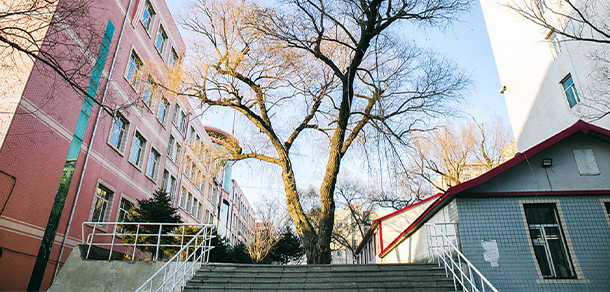 東北林業(yè)大學(xué) - 最美大學(xué)